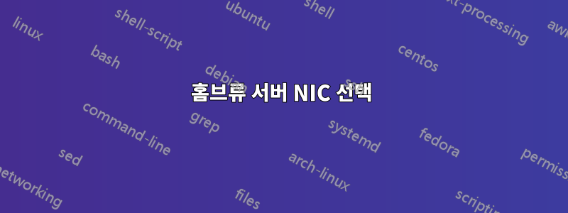 홈브류 서버 NIC 선택