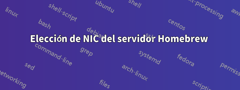 Elección de NIC del servidor Homebrew