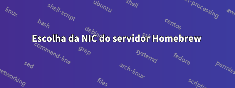 Escolha da NIC do servidor Homebrew