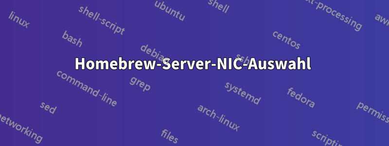 Homebrew-Server-NIC-Auswahl