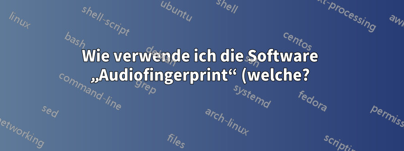 Wie verwende ich die Software „Audiofingerprint“ (welche?), um Musik alphabetisch nach Künstler zu sortieren, dann nach Künstler und dann nach Album-/Single-/EP-Titel?