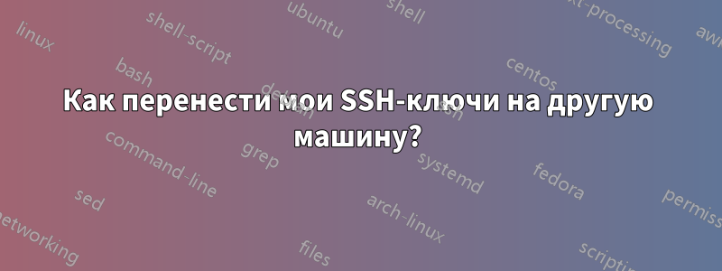 Как перенести мои SSH-ключи на другую машину?