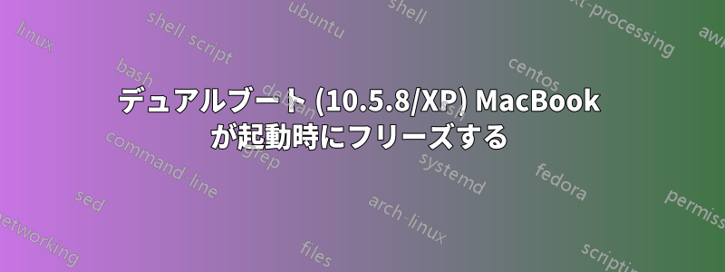 デュアルブート (10.5.8/XP) MacBook が起動時にフリーズする