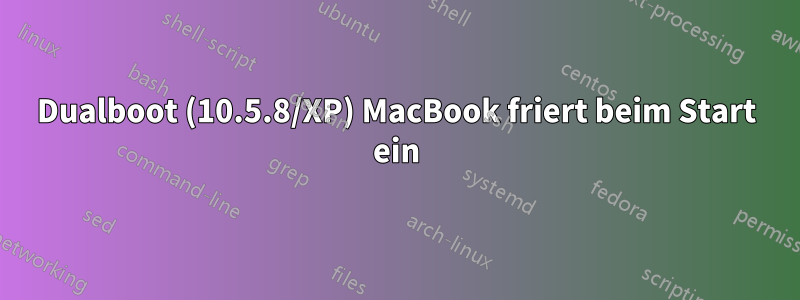 Dualboot (10.5.8/XP) MacBook friert beim Start ein