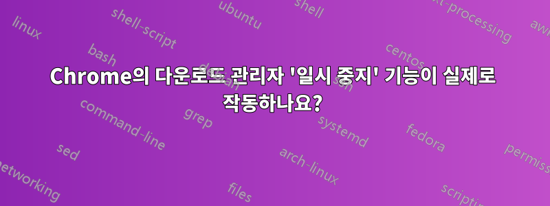 Chrome의 다운로드 관리자 '일시 중지' 기능이 실제로 작동하나요?