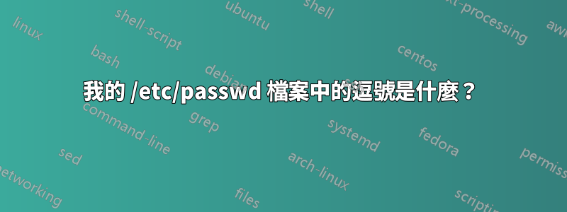 我的 /etc/passwd 檔案中的逗號是什麼？