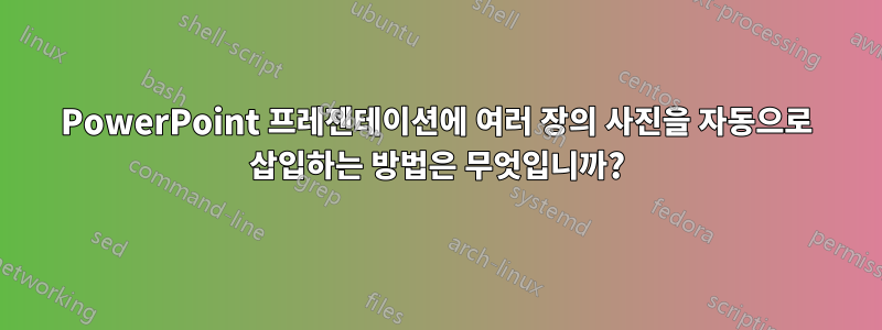 PowerPoint 프레젠테이션에 여러 장의 사진을 자동으로 삽입하는 방법은 무엇입니까?