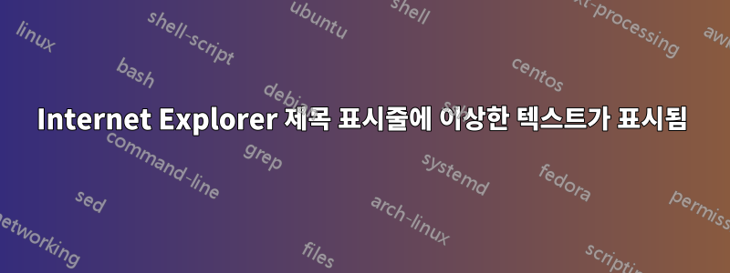 Internet Explorer 제목 표시줄에 이상한 텍스트가 표시됨