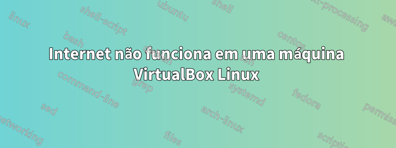 Internet não funciona em uma máquina VirtualBox Linux