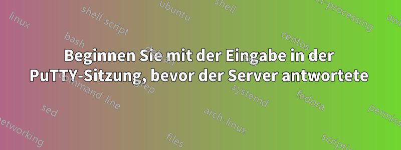 Beginnen Sie mit der Eingabe in der PuTTY-Sitzung, bevor der Server antwortete