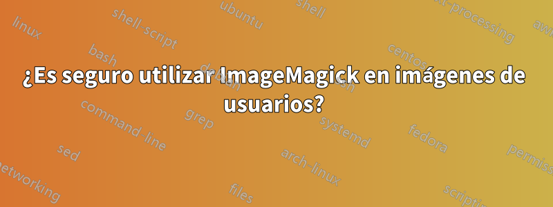 ¿Es seguro utilizar ImageMagick en imágenes de usuarios?