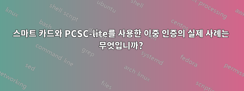 스마트 카드와 PCSC-lite를 사용한 이중 인증의 실제 사례는 무엇입니까?