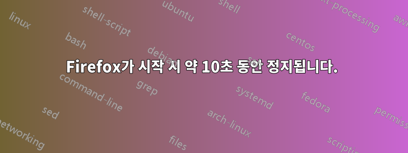 Firefox가 시작 시 약 10초 동안 정지됩니다.