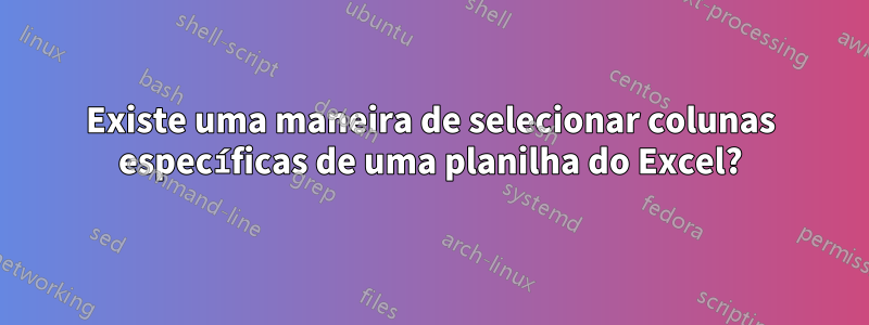 Existe uma maneira de selecionar colunas específicas de uma planilha do Excel?