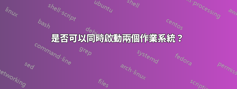 是否可以同時啟動兩個作業系統？