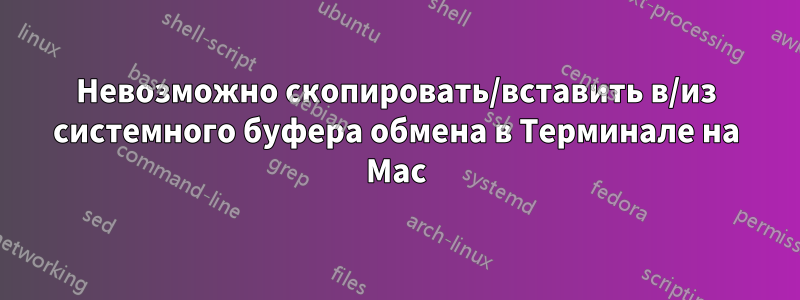 Невозможно скопировать/вставить в/из системного буфера обмена в Терминале на Mac