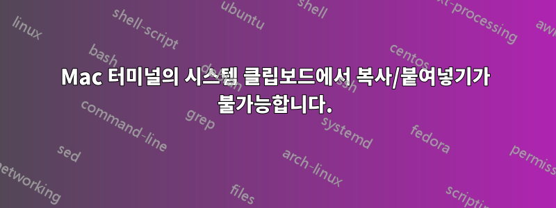 Mac 터미널의 시스템 클립보드에서 복사/붙여넣기가 불가능합니다.