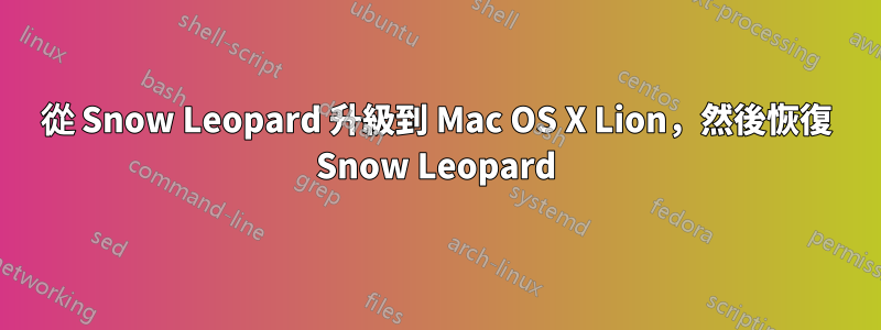 從 Snow Leopard 升級到 Mac OS X Lion，然後恢復 Snow Leopard