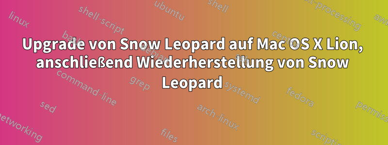 Upgrade von Snow Leopard auf Mac OS X Lion, anschließend Wiederherstellung von Snow Leopard