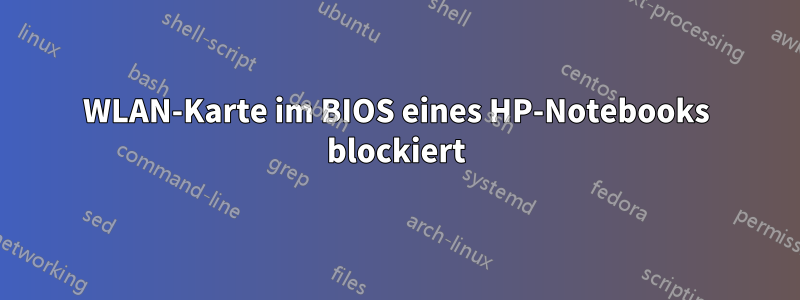 WLAN-Karte im BIOS eines HP-Notebooks blockiert