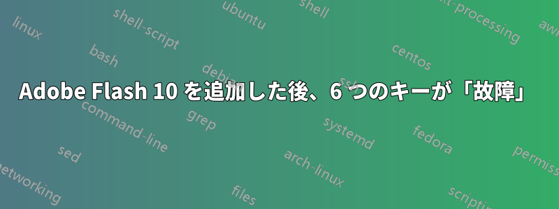 Adobe Flash 10 を追加した後、6 つのキーが「故障」