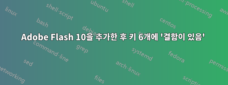 Adobe Flash 10을 추가한 후 키 6개에 '결함이 있음'