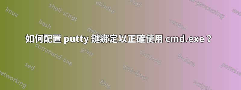 如何配置 putty 鍵綁定以正確使用 cmd.exe？