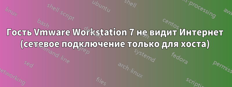 Гость Vmware Workstation 7 не видит Интернет (сетевое подключение только для хоста)