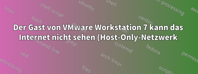Der Gast von VMware Workstation 7 kann das Internet nicht sehen (Host-Only-Netzwerk)