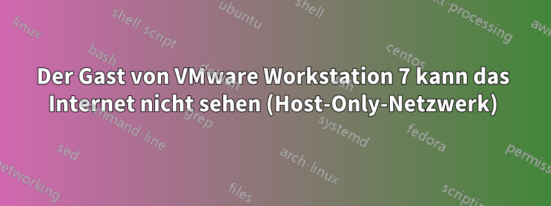 Der Gast von VMware Workstation 7 kann das Internet nicht sehen (Host-Only-Netzwerk)