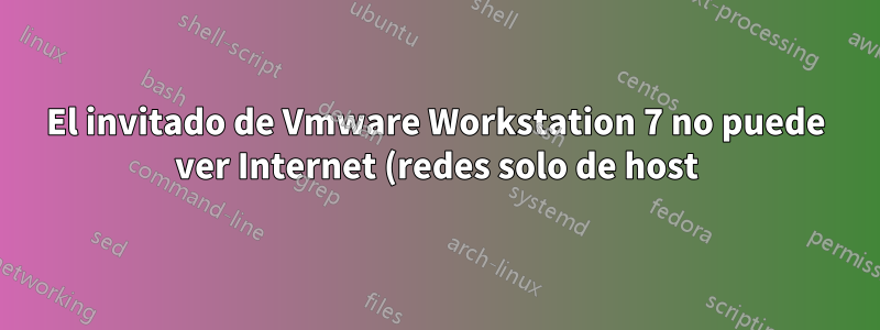 El invitado de Vmware Workstation 7 no puede ver Internet (redes solo de host)