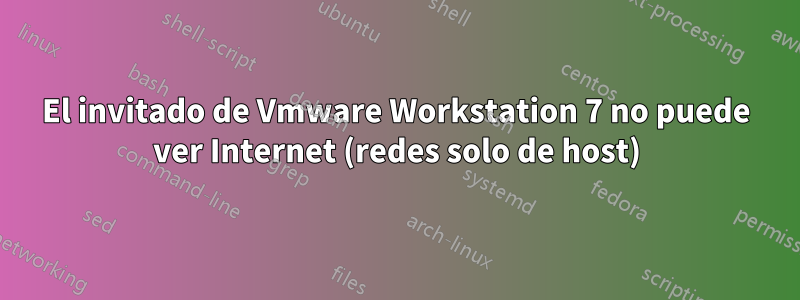 El invitado de Vmware Workstation 7 no puede ver Internet (redes solo de host)