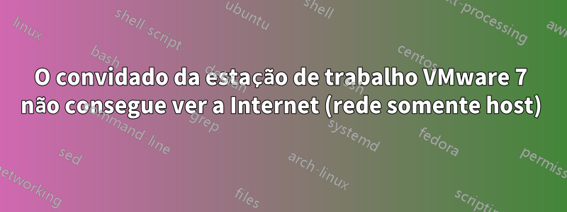 O convidado da estação de trabalho VMware 7 não consegue ver a Internet (rede somente host)