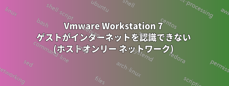 Vmware Workstation 7 ゲストがインターネットを認識できない (ホストオンリー ネットワーク)