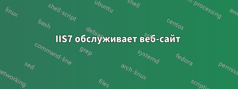 IIS7 обслуживает веб-сайт