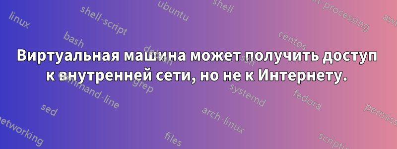 Виртуальная машина может получить доступ к внутренней сети, но не к Интернету.