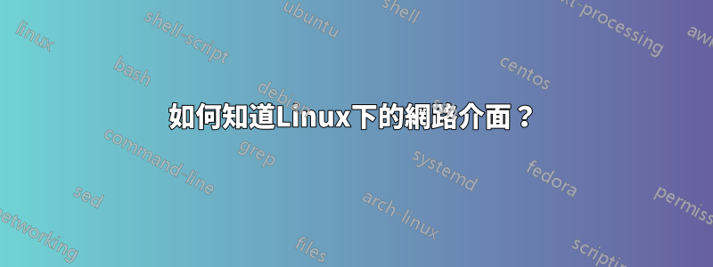 如何知道Linux下的網路介面？