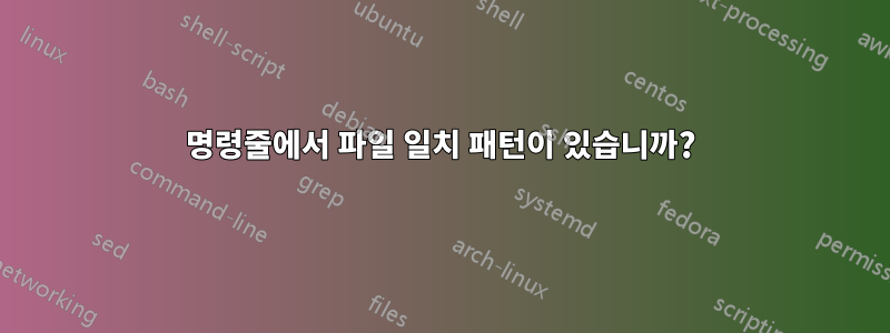 명령줄에서 파일 일치 패턴이 있습니까?