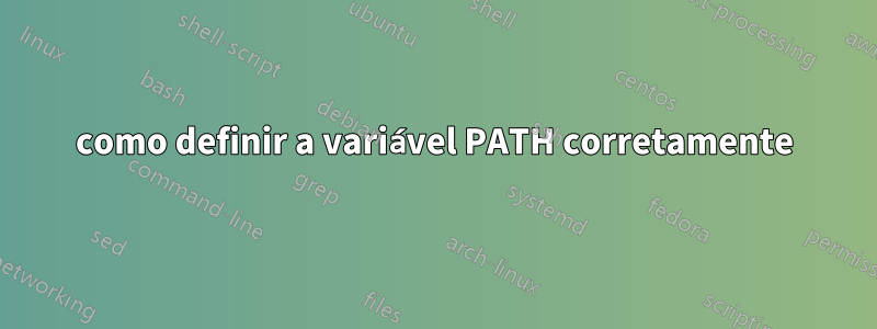 como definir a variável PATH corretamente