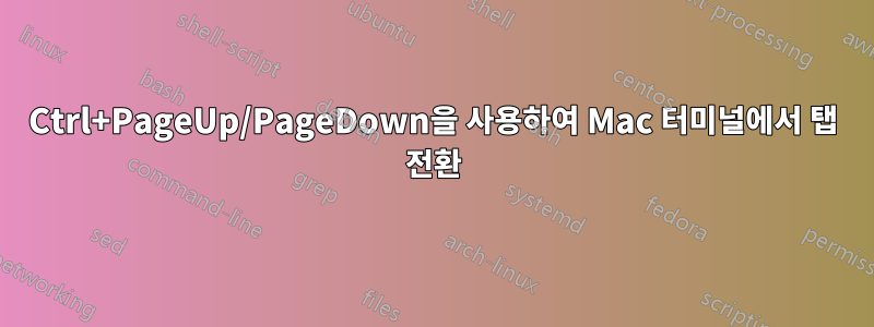 Ctrl+PageUp/PageDown을 사용하여 Mac 터미널에서 탭 전환