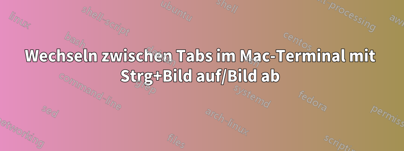 Wechseln zwischen Tabs im Mac-Terminal mit Strg+Bild auf/Bild ab