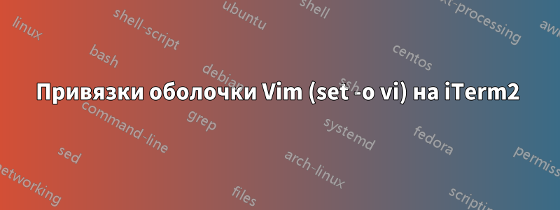 Привязки оболочки Vim (set -o vi) на iTerm2