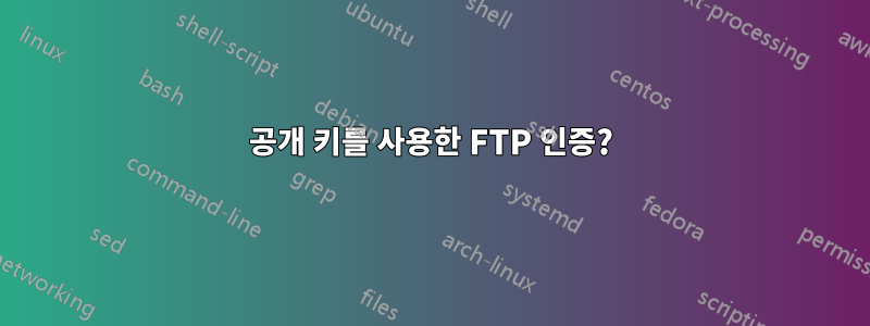 공개 키를 사용한 FTP 인증?