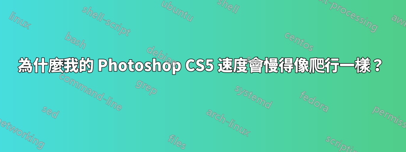 為什麼我的 Photoshop CS5 速度會慢得像爬行一樣？