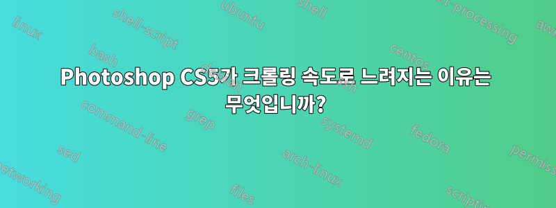 Photoshop CS5가 크롤링 속도로 느려지는 이유는 무엇입니까?