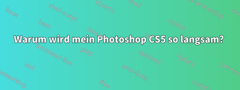 Warum wird mein Photoshop CS5 so langsam?