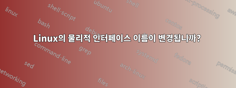 Linux의 물리적 인터페이스 이름이 변경됩니까?