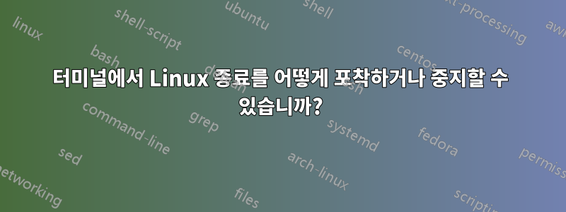 터미널에서 Linux 종료를 어떻게 포착하거나 중지할 수 있습니까?