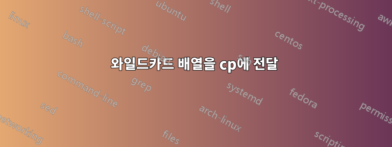 와일드카드 배열을 cp에 전달