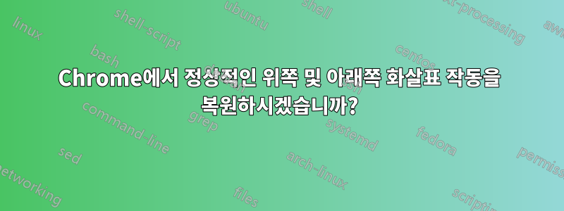 Chrome에서 정상적인 위쪽 및 아래쪽 화살표 작동을 복원하시겠습니까?